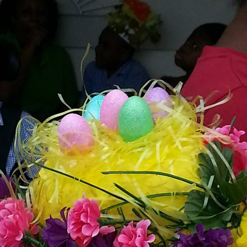 egg_500 egg_500